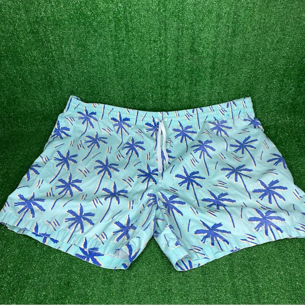 Chubbies Men's Size XL Art Swim Trunk Shorts Mint Green Tropical Style - READ